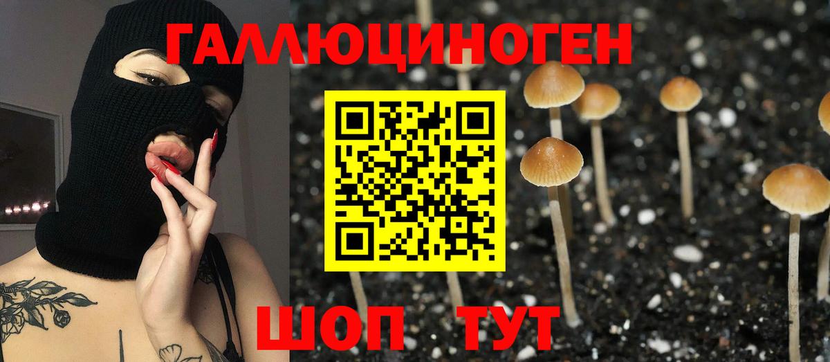 Галлюциногенные грибы Magic Shrooms Воткинск