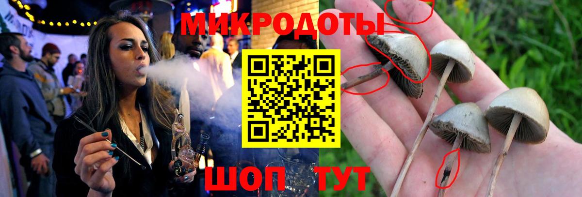 Воткинск  купить наркотики сайты  Вход с VPN  Галлюциногенные грибы Psilocybe 